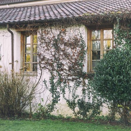 La Casona De Amandi Villaviciosa (Asturias) Exterior foto